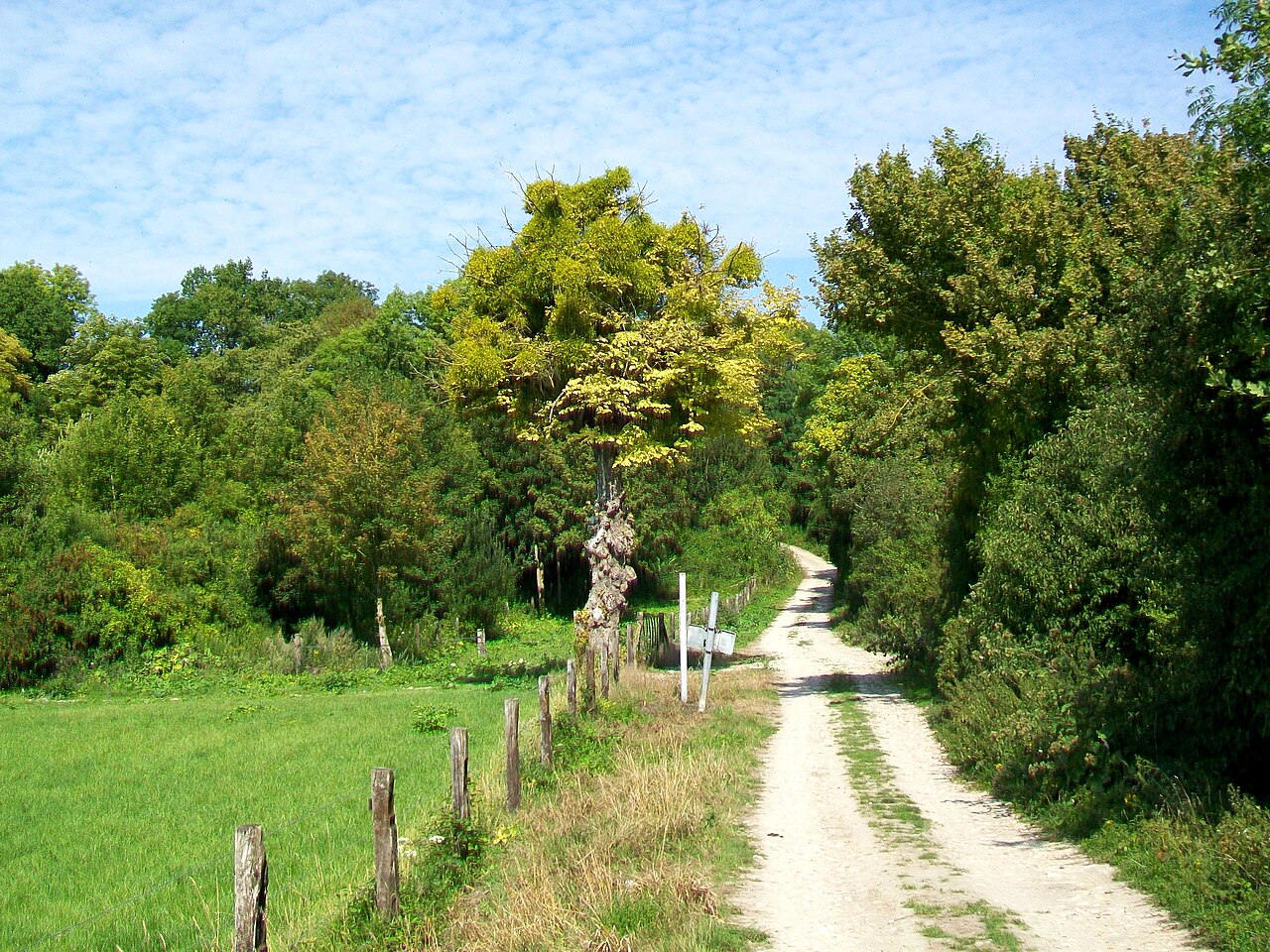 Château de Boran-sur-Oise